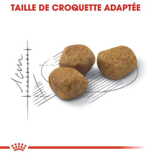 Visuel 3 du produit Croquettes Chat – Royal Canin Fit 32 – 400 g