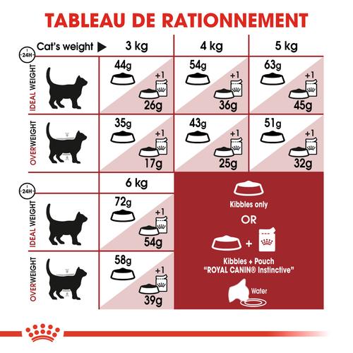 Visuel 6 du produit Croquettes Chat – Royal Canin Fit 32 – 400 g