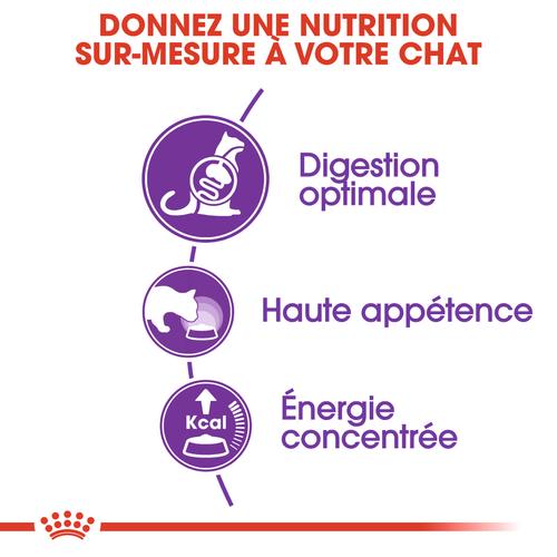 Visuel 3 du produit Croquettes Chat – Royal Canin Sensible 33 – 400 g
