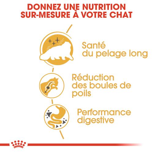 Visuel 6 du produit Croquettes Chat – Royal Canin Persan Adulte – 400 g