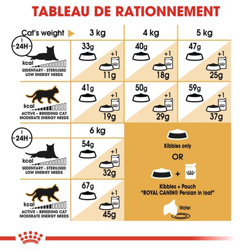 Visuel 7 du produit Croquettes Chat – Royal Canin Persan Adulte – 400 g