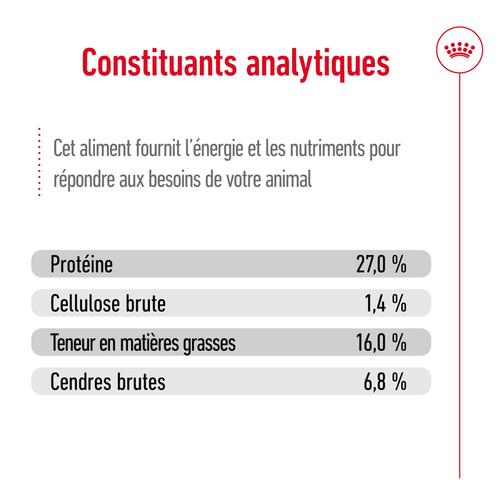 Visuel 12 du produit Croquettes Chien – Royal Canin Mini Adulte – 2 kg