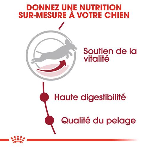 Visuel 5 du produit Croquettes Chien – Royal Canin Medium Adulte 7+ - 15 kg