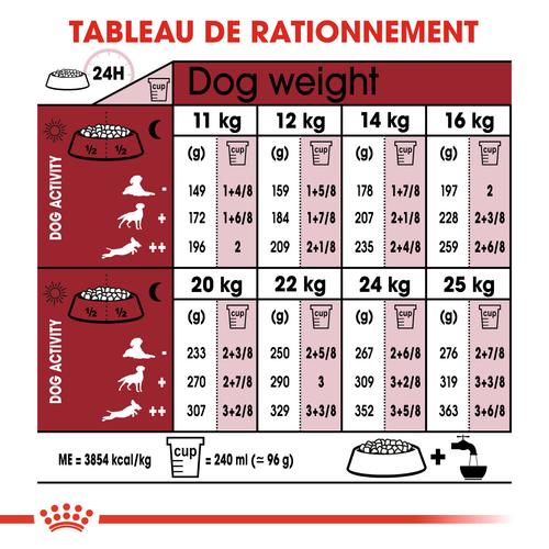 Visuel 7 du produit Croquettes Chien – Royal Canin Medium Adulte 7+ - 15 kg