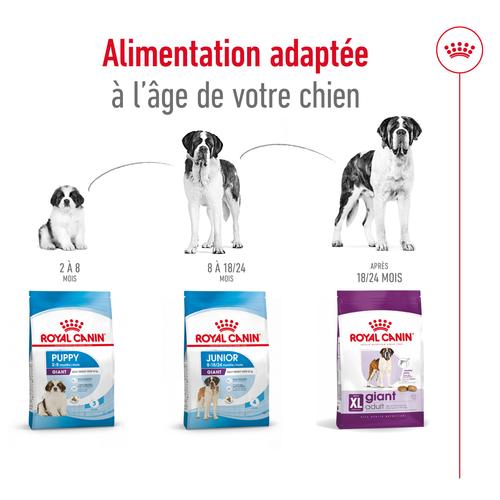 Visuel 6 du produit Croquettes Chien – Royal Canin Giant Adulte – 15 kg