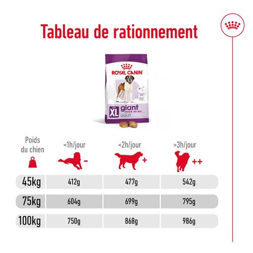 Visuel 7 du produit Croquettes Chien – Royal Canin Giant Adulte – 15 kg