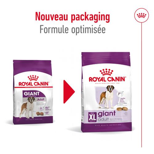 Visuel 9 du produit Croquettes Chien – Royal Canin Giant Adulte – 15 kg