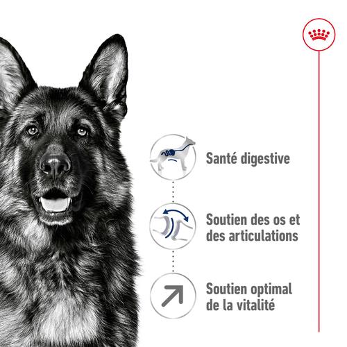 Visuel 4 du produit Croquettes Chien – Royal Canin Maxi Adulte 5+ - 15 kg