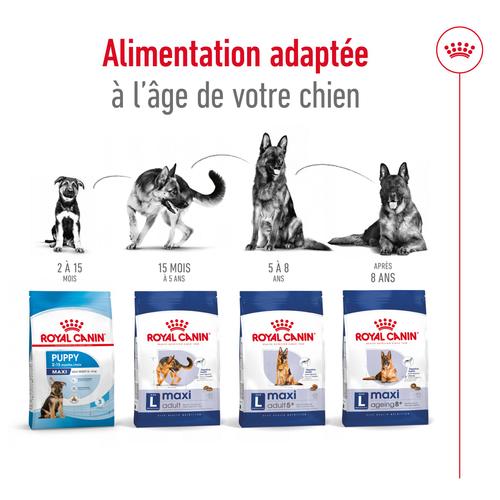 Visuel 5 du produit Croquettes Chien – Royal Canin Maxi Adulte 5+ - 15 kg