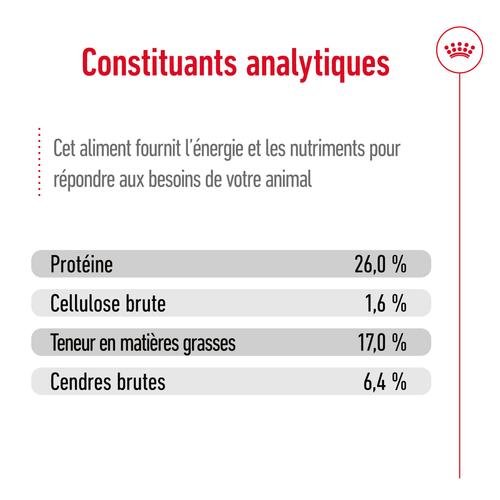 Visuel 12 du produit Croquettes Chien – Royal Canin Maxi Adulte 5+ - 15 kg