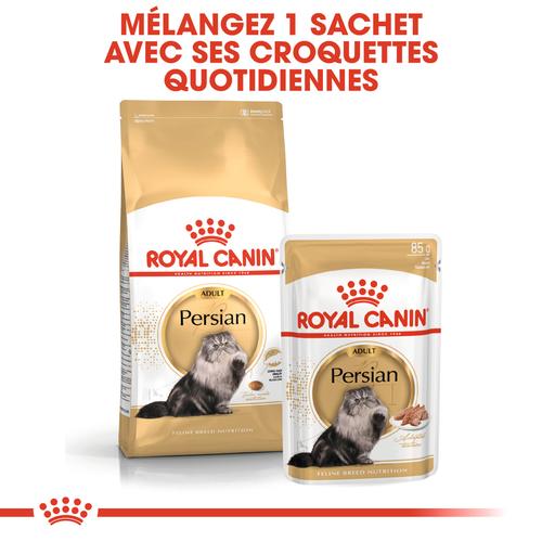 Visuel 5 du produit Croquettes Chat – Royal Canin Persan Adulte – 4 kg