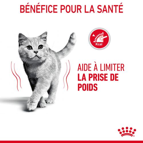 Visuel 3 du produit Croquettes Chat – Royal Canin Light Weight Care - 400 g