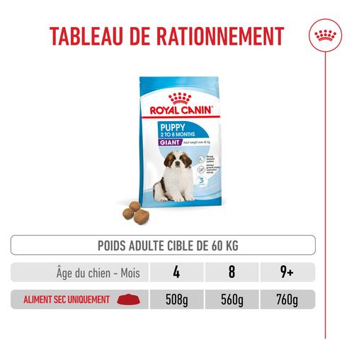 Visuel 6 du produit Croquettes Chien – Royal Canin Giant Puppy – 15 kg