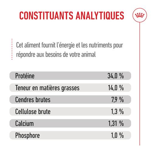 Visuel 10 du produit Croquettes Chien – Royal Canin Giant Puppy – 15 kg