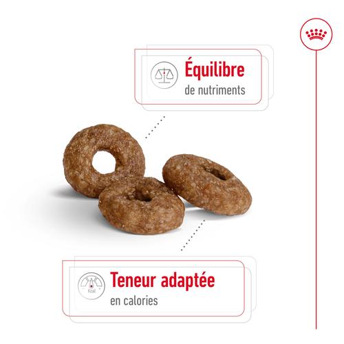 Visuel 3 du produit Royal Canin Croquettes Chien Mini Ageing 12+ - 3,5 kg