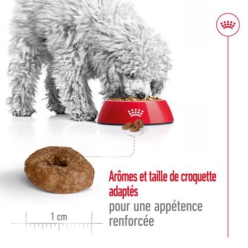 Visuel 4 du produit Royal Canin Croquettes Chien Mini Ageing 12+ - 3,5 kg