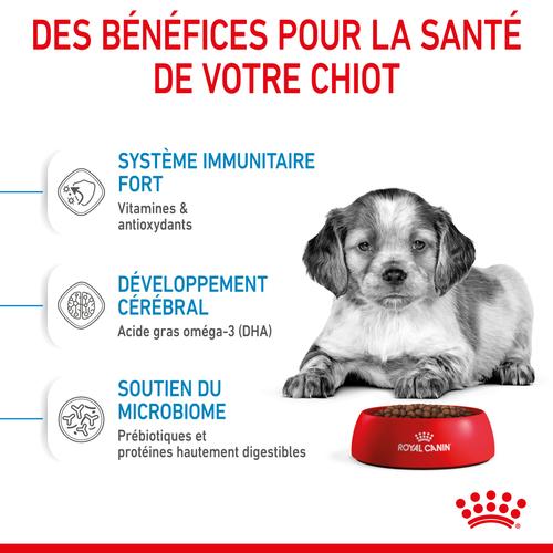 Visuel 2 du produit Royal Canin Croquettes Chiot Medium Puppy 2 à 12 Mois - 12 kg
