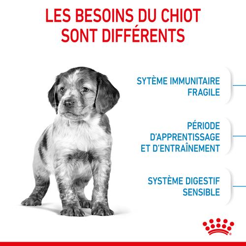 Visuel 3 du produit Royal Canin Croquettes Chiot Medium Puppy 2 à 12 Mois - 12 kg