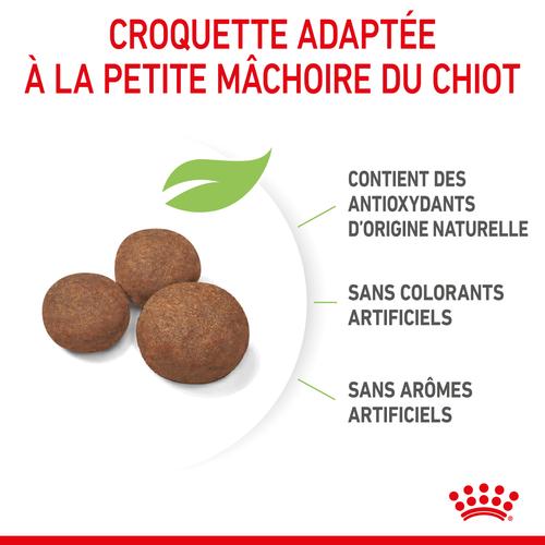 Visuel 4 du produit Royal Canin Croquettes Chiot Medium Puppy 2 à 12 Mois - 12 kg