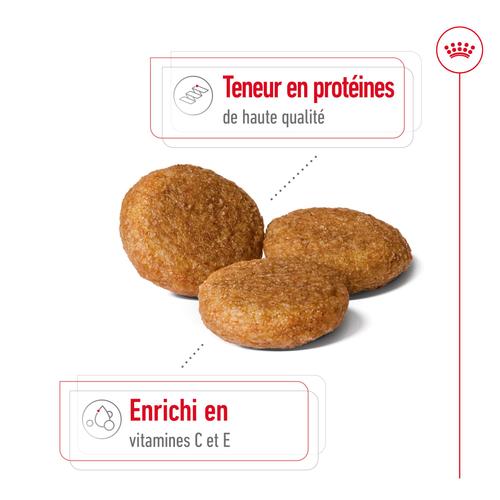 Visuel 2 du produit Royal Canin Croquettes Chien Medium Adult À Partir De 12 Mois - 12 kg