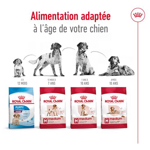 Visuel 3 du produit Royal Canin Croquettes Chien Medium Adult À Partir De 12 Mois - 12 kg