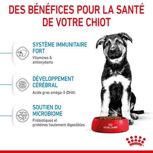 Visuel 3 du produit Royal Canin Croquettes Chiot Maxi Puppy 2 à 15 Mois - 12 kg