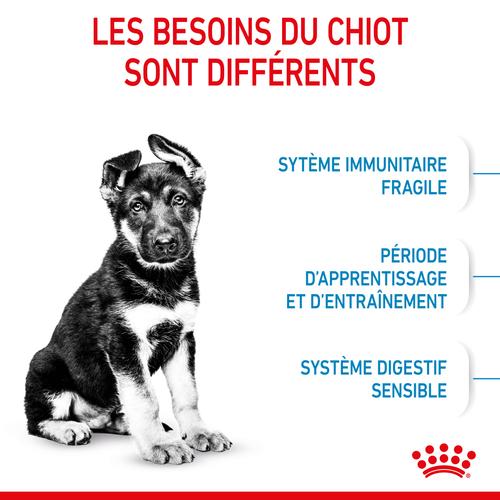 Visuel 4 du produit Royal Canin Croquettes Chiot Maxi Puppy 2 à 15 Mois - 12 kg