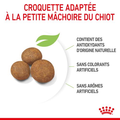 Visuel 5 du produit Royal Canin Croquettes Chiot Maxi Puppy 2 à 15 Mois - 12 kg