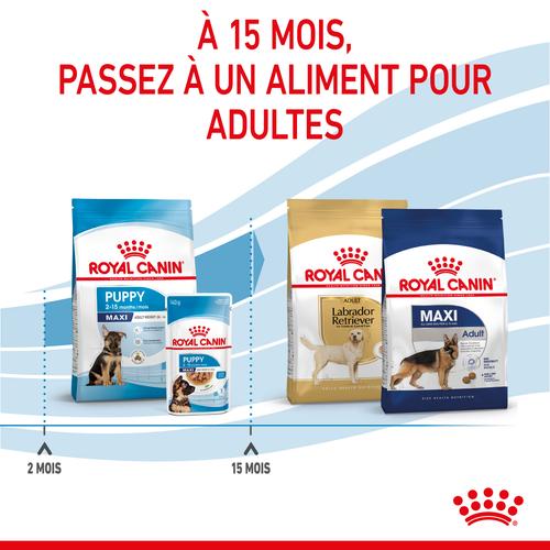 Visuel 6 du produit Royal Canin Croquettes Chiot Maxi Puppy 2 à 15 Mois - 12 kg