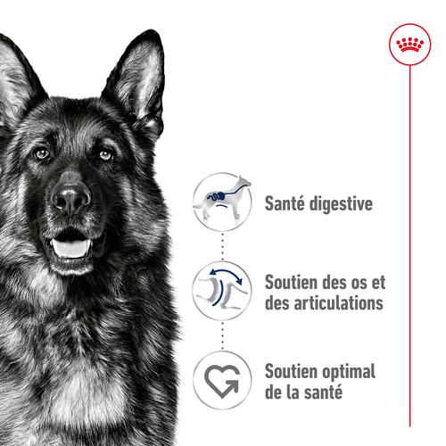 Visuel 2 du produit Royal Canin Croquettes Chien Maxi Adult À Partir De 15 Mois - 3 kg