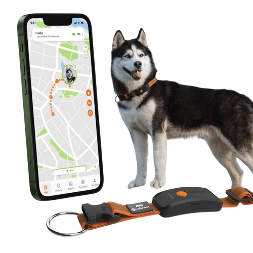 Visuel 2 du produit Weenect GPS Chien XT noir