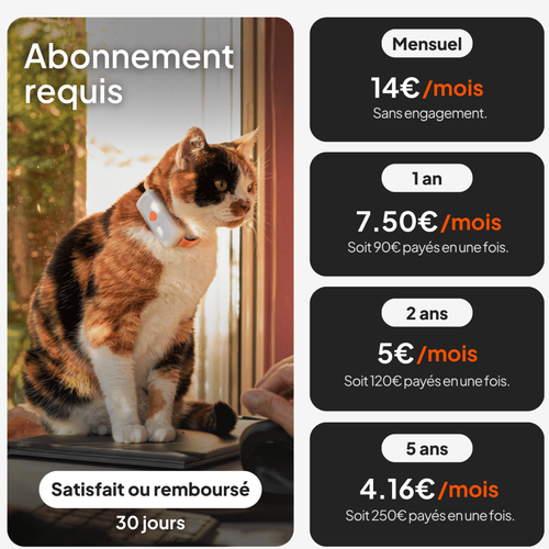 Visuel 6 du produit Sécurité Chat - Weenect GPS blanc XS – 60 X 23 X 12 mm