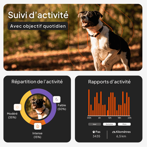 Visuel 3 du produit Sécurité Chien - Weenect GPS blanc XS – 60 X 23 X 12 mm