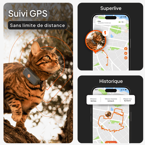 Visuel 2 du produit Sécurité Chat - Weenect GPS noir XS – 60 X 23 X 12 mm