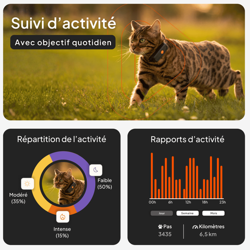 Visuel 3 du produit Sécurité Chat - Weenect GPS noir XS – 60 X 23 X 12 mm