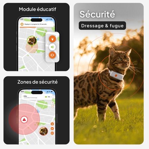 Visuel 4 du produit Sécurité Chat - Weenect GPS noir XS – 60 X 23 X 12 mm