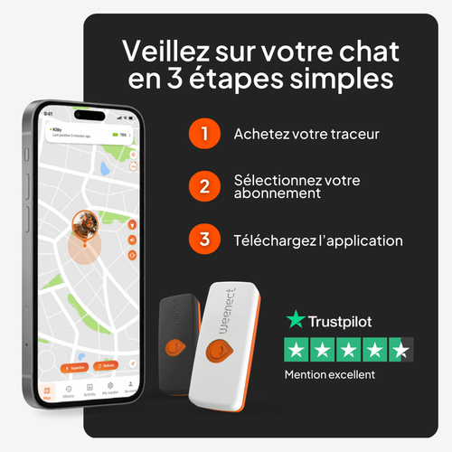 Visuel 6 du produit Sécurité Chat - Weenect GPS noir XS – 60 X 23 X 12 mm