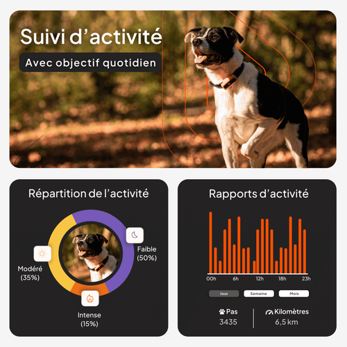 Visuel 3 du produit Sécurité Chien - Weenect GPS noir XS – 60 X 23 X 12 mm
