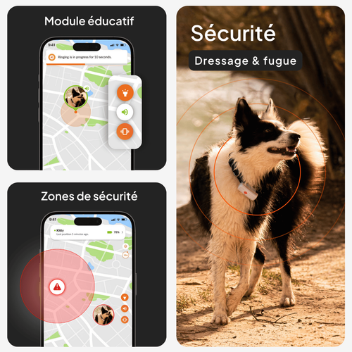 Visuel 4 du produit Sécurité Chien - Weenect GPS noir XS – 60 X 23 X 12 mm