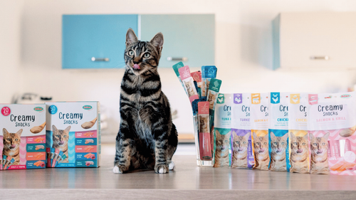 Chat qui se lèche les babines entourés de friandises pour chats