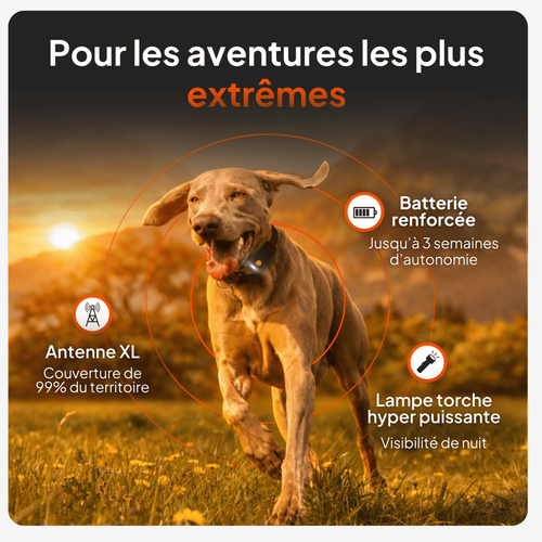 Visuel 2 du produit Weenect GPS Chien XT noir