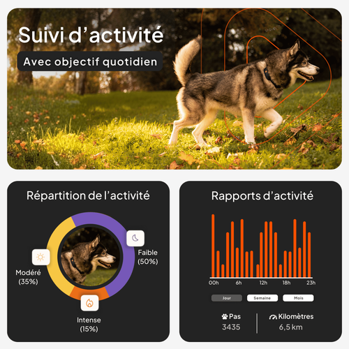 Visuel 4 du produit Weenect GPS Chien XT noir