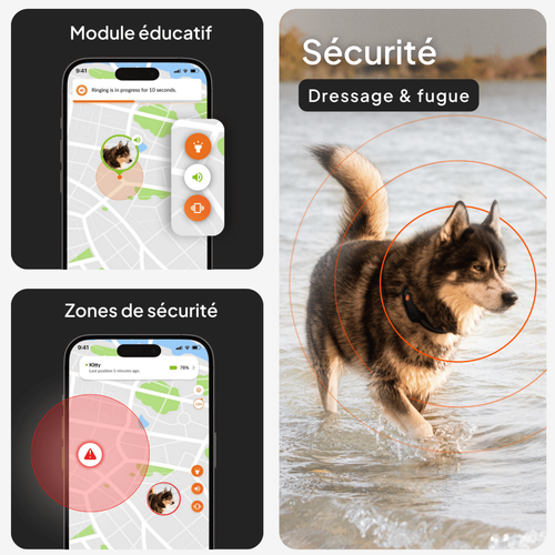 Visuel 6 du produit Weenect GPS Chien XT noir