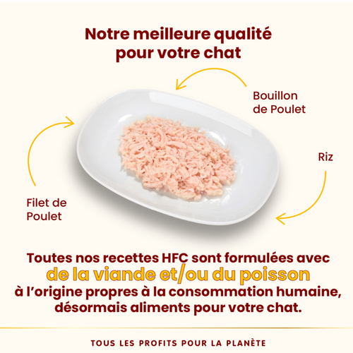 Visuel 3 du produit Boîte Chat – Almo Nature HFC Jelly Poulet 70 gr
