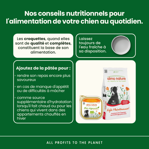 Visuel 3 du produit Boîte Chien – Almo Nature bio Poulet et Pomme de Terre 300 gr