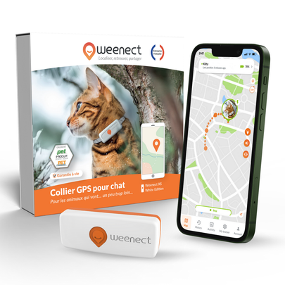 WEENECT-Sécurité Chat - Weenect GPS blanc XS – 60 X 23 X 12 mm
