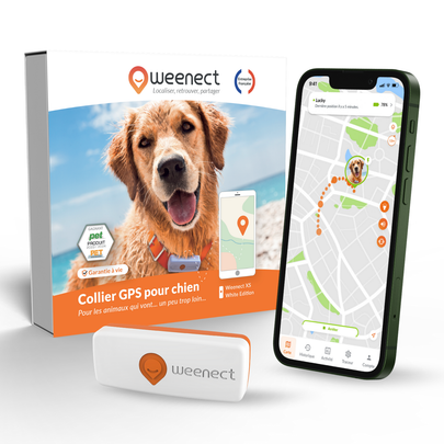 WEENECT-Sécurité Chien - Weenect GPS blanc XS – 60 X 23 X 12 mm