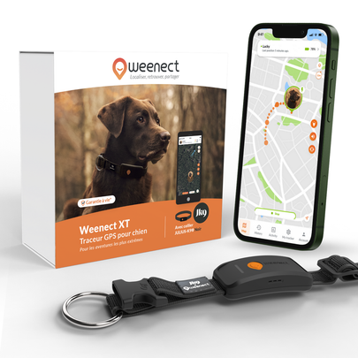 WEENECT-Weenect GPS Chien XT noir