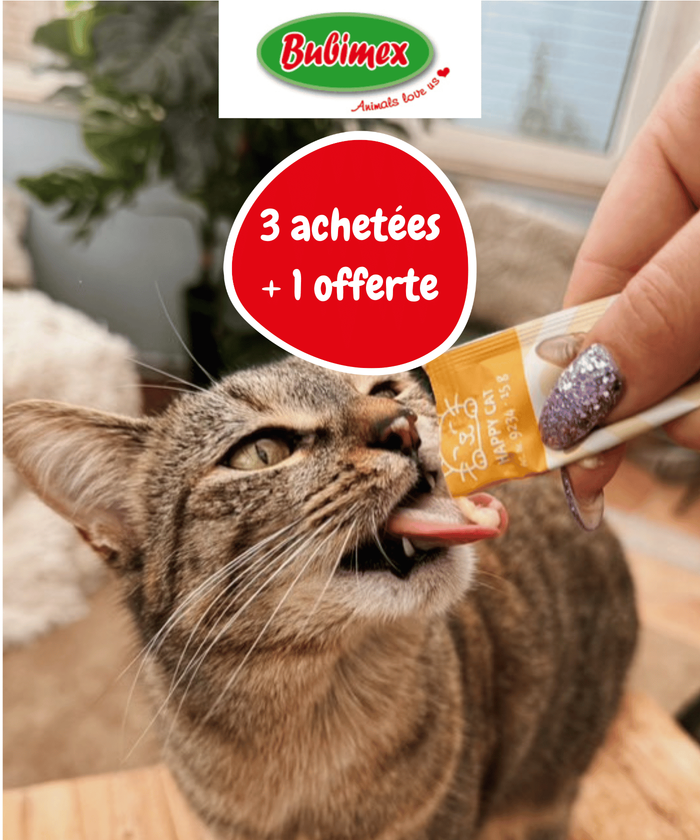 Un chat mange des friandises Bubimex