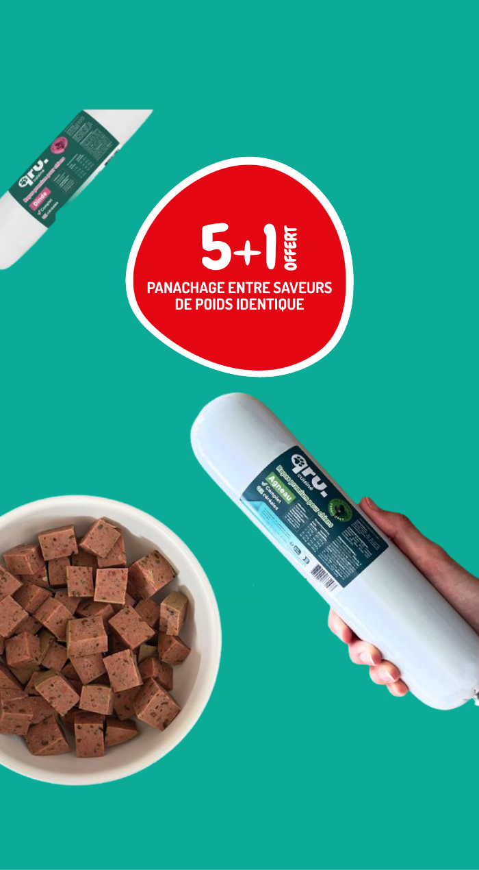 BARF-Alimentation BARF pour chien - marque QRU - offre-mobile
